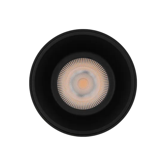 Фото #2 товара Светильник SP-SALT-R95-20W Warm3000 (BK, 40 deg, 230V) (Arlight, IP54 Металл, 5 лет)