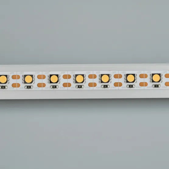 Фото #2 товара Светодиодная лента RT 2-5000 12V Cx1 Warm3000 2x (5060, 360 LED, CRI98) (Arlight, 16.8 Вт/м, IP20)