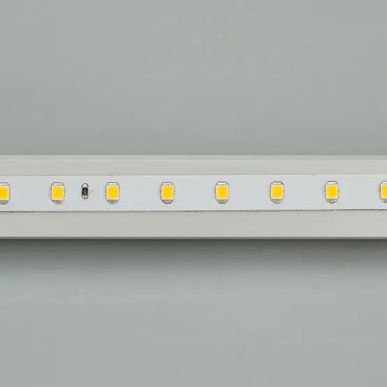 Фото #5 товара Светодиодная лента RT 2-5000-50m 24V White5500 (2835, 80 LED/m, LUX) (Arlight, 6 Вт/м, IP20)