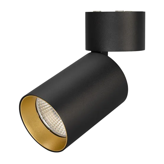 Фото #1 товара Светильник SP-POLO-SURFACE-FLAP-R85-15W White5000 (BK-GD, 40 deg) (Arlight, IP20 Металл, 3 года)