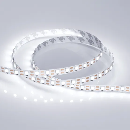 Фото #2 товара Светодиодная лента RT 2-5000 12V Cx1 White6000 2x (5060, 360 LED, LUX) (Arlight, 15.6 Вт/м, IP20)