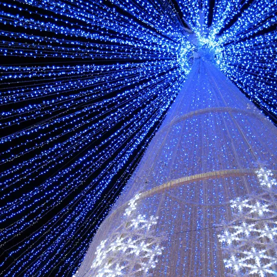 Фото #5 товара Светодиодная гирлянда ARD-STRING-CLASSIC-10000-WHITE-100LED-STD BLUE (230V, 7W) (Ardecoled, IP65)