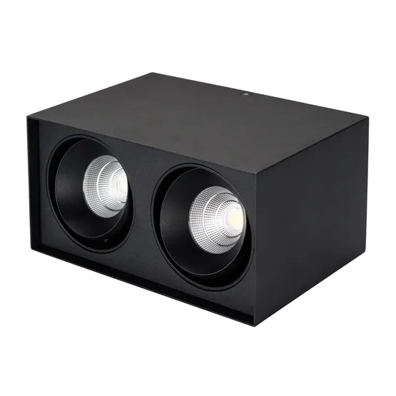 Фото #2 товара Светильник SP-CUBUS-S100x200-2x11W Warm3000 (BK, 40 deg, 230V) (Arlight, IP20 Металл, 3 года)