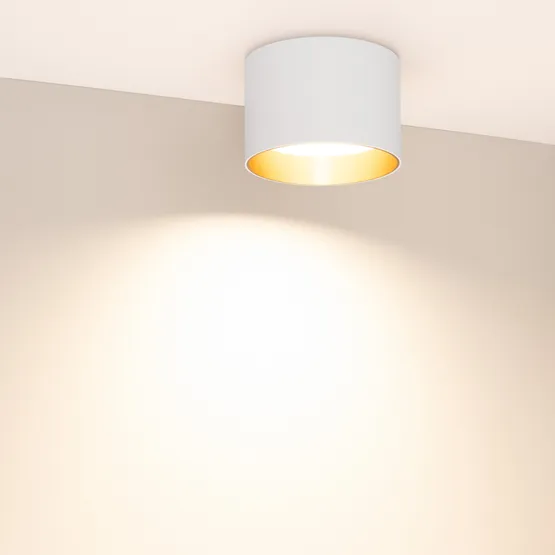 Фото #3 товара Светильник SP-BISCOTTO-R120-12W Warm3300-MIX (WH-GD, 80 deg, 230V) (Arlight, IP54 Металл, 5 лет)