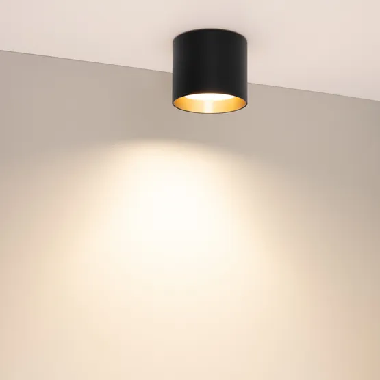 Фото #2 товара Светильник SP-BISCOTTO-R90-8W Warm3300-MIX (BK-GD, 80 deg, 230V) (Arlight, IP54 Металл, 5 лет)