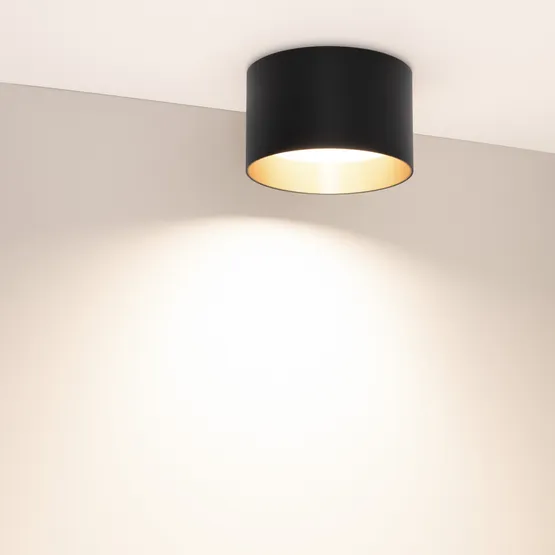 Фото #3 товара Светильник SP-BISCOTTO-R140-15W Warm3300-MIX (BK-GD, 80 deg, 230V) (Arlight, IP54 Металл, 5 лет)