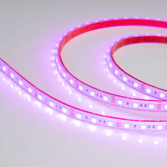 Фото #2 товара Светодиодная лента RTW 2-5000P 12V RGB 2x (5060, 300 LED, LUX) (Arlight, 14.4 Вт/м, IP66)