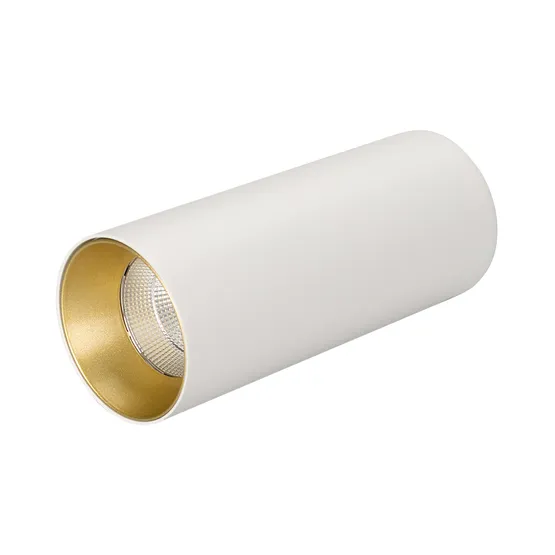 Фото #1 товара Светильник SP-POLO-SURFACE-R65-8W White5000 (WH-GD, 40 deg) (Arlight, IP20 Металл, 3 года)