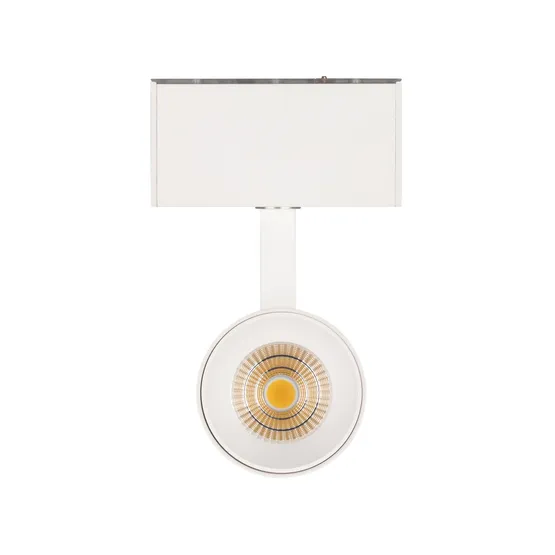Фото #3 товара Светильник MAG-SPOT-45-R85-12W Day4000 (WH, 36 deg, 24V) (Arlight, IP20 Металл, 5 лет)