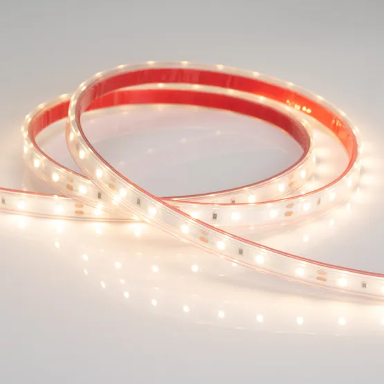 Фото #2 товара Светодиодная лента RTW 2-5000PS 12V Warm2700 (3528, 300 LED, LUX) (Arlight, 4.8 Вт/м, IP67)