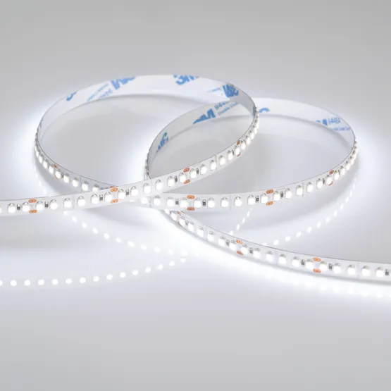 Фото #2 товара Светодиодная лента RT6-3528-180 24V White6000 3x (900 LED) (Arlight, 14.4 Вт/м, IP20)