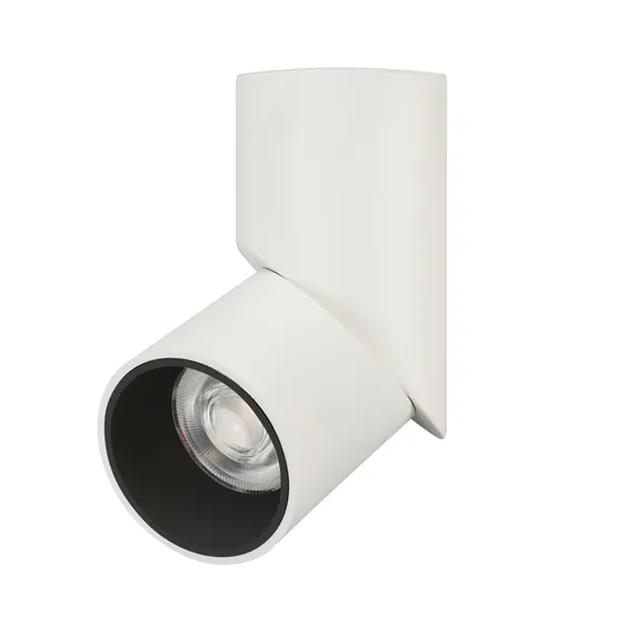 Фото #1 товара Светильник SP-TWIST-SURFACE-R70-12W White5000 (WH-BK, 30 deg) (Arlight, IP40 Металл, 3 года)