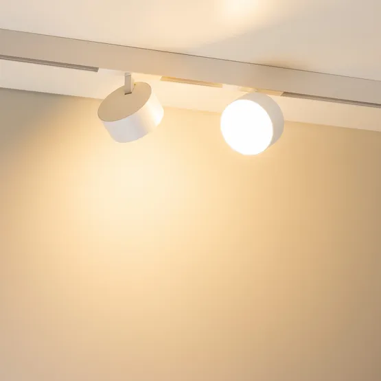 Фото #4 товара Светильник MAG-ORIENT-RONDO-R120-15W Day4000-MIX (WH, 110 deg, 48V, TUYA Zigbee) (Arlight, IP20 Металл, 5 лет)