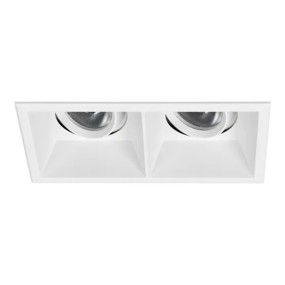 Фото #1 товара Светильник MS-FLOW-BUILT-S157x85-2x12W Day4000 (WH, 55 deg, 230V) (Arlight, IP20 Металл, 5 лет)