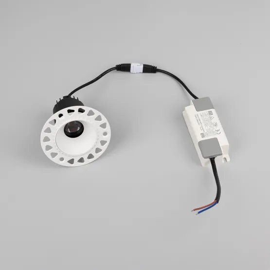 Фото #5 товара Светильник MS-ARADO-TRIMLESS-R55-7W Warm2700 (WH-WH, 24 deg, 230V) (Arlight, IP20 Металл, 5 лет)