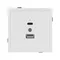 Минифото #2 товара Механизм USB розетки SCT-TENDO-MUAC-PL-WH (5V, 3A, QC3) (Arlight, Белый)