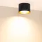 Минифото #4 товара Светильник SP-BISCOTTO-R120-12W Warm3300-MIX (BK-GD, 80 deg, 230V) (Arlight, IP54 Металл, 5 лет)