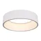 Минифото #3 товара Светильник SP-TOR-RING-HANG-R460-33W Warm3000 (WH, 120 deg) (Arlight, IP20 Металл, 3 года)