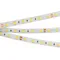 Минифото #3 товара Светодиодная лента герметичная RTW-SE-B60-10mm 24V White6000 (14.4 W/m, IP65, 5060, 5m) (Arlight, -)