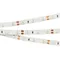 Минифото #2 товара Светодиодная лента RT-A60-8mm 12V UV400 (4.8 W/m, IP20, 2835, 5m) (Arlight, Открытый)