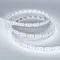 Минифото #2 товара Светодиодная лента MICROLED-5000HP 24V White5500 10mm (2216, 300 LED/m, LUX) (Arlight, 21.6 Вт/м, IP20)