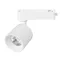 Минифото #1 товара Светильник LGD-DYKE-2TR-R75-16W Day4000 (WH, 38 deg, 230V) (Arlight, IP20 Металл, 5 лет)