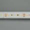 Минифото #4 товара Светодиодная лента IC2-20000 24V Day4000 2x 12mm (2835, 120 LED/m, Long) (Arlight, 9.6 Вт/м, IP20)