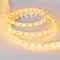 Минифото #2 товара Светодиодная лента RTW 2-5000SE 12V Yellow 2x (5060, 300 LED, LUX) (Arlight, 14.4 Вт/м, IP65)