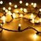 Минифото #1 товара Светодиодная гирлянда ARD-STRING-CLASSIC-10000-BLACK-100LED-MILK-STD Warm (230V, 7W) (Ardecoled, IP65)