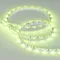 Минифото #6 товара Светодиодная лента MINI-60-24V RGB 5mm (3535, 5m, LUX) (Arlight, 6 Вт/м, IP20)