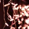 Минифото #3 товара Светодиодная гирлянда ARD-EDGE-CLASSIC-2400x600-CLEAR-88LED-STD Rose Gold (230V, 6W) (Ardecoled, IP65)