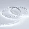 Минифото #2 товара Светодиодная лента RT 2-5000-50m 24V White6000 (2835, 80 LED/m, LUX) (Arlight, 6 Вт/м, IP20)