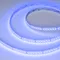 Минифото #5 товара Светодиодная лента RT-AM360-12mm 24V RGBW-MIX (24 W/m, IP20, 2835/2210, 5m) (Arlight, RGB-CCT, RGB-MIX, RGB-White MIX)