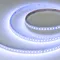Минифото #9 товара Светодиодная лента RT-H120-10mm 24V RGBW-Warm-4-in-1 (25 W/m, IP20, 4040, 5m) (Arlight, Открытый)