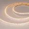 Минифото #4 товара Светодиодная лента RS-S120-8mm 24V Warm2700 (9.6 W/m, IP20, 3014, 5m) (Arlight, боковое свечение)