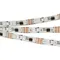 Минифото #1 товара Светодиодная лента SPI-5000-5060-60 12V Cx3 RGB-Auto (10mm, 13.2W/m, IP20) (Arlight, Открытый, IP20)