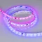 Минифото #2 товара Светодиодная лента герметичная SPI-SE-B60-10mm 24V RGB-PX6-BPT (12 W/m, IP65, 5060, 5m) (Arlight, бегущий огонь)