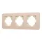 Минифото #1 товара Рамка алюминиевая FRM-AKIRY-SFAL-3-GD (Arlight, -)