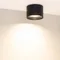 Минифото #2 товара Светильник SP-BISCOTTO-R120-12W Warm3300-MIX (BK, 80 deg, 230V) (Arlight, IP54 Металл, 5 лет)