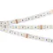 Минифото #1 товара Светодиодная лента RT 2-5000 24V RGBW-MIX 12mm (5060-One, 60 LED/m, LUX) (Arlight, RGB-CCT, RGB-MIX, RGB-White MIX)