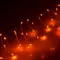 Минифото #4 товара Светодиодная нить WR-5000-12V-Orange (1608,100LED) (Arlight, IP65)