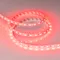 Минифото #2 товара Светодиодная лента RT-B60-10mm 24V Red (14.4 W/m, IP20, 5060, 5m) (Arlight, Открытый)