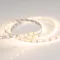 Минифото #4 товара Светодиодная лента RT 2-5000 12V Warm2700 (3528, 300 LED, LUX) (Arlight, 4.8 Вт/м, IP20)