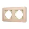 Минифото #1 товара Рамка алюминиевая FRM-AKIRY-AL-2-GD (Arlight, -)