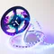 Минифото #4 товара Светодиодная лента SPI-5000-5060-60 12V Cx3 RGB-Auto (10mm, 13.2W/m, IP20) (Arlight, Открытый, IP20)