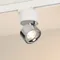 Минифото #1 товара Светильник SP-PLURIO-TRACK-4TR-R77-9W Warm3000 (WH-CHR, 36 deg, 230V) (Arlight, IP20 Металл, 3 года)