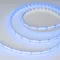 Минифото #5 товара Светодиодная лента CSP-X840-12mm 24V RGBW-Warm (17.2 W/m, IP20, 5m) (Arlight, 5 лет)