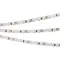 Минифото #1 товара Светодиодная лента RT 2-5000 12V Yellow 5mm 2x (3528, 600 LED, LUX) (Arlight, 9.6 Вт/м, IP20)