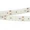 Минифото #1 товара Светодиодная лента RTW 2-5000SE 24V Cool 2x2 (3528, 1200 LED, LUX) (Arlight, 19.2 Вт/м, IP65)