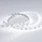 Минифото #3 товара Светодиодная лента RT 2-5000 12V White6000 (3528, 300 LED, LUX) (Arlight, 4.8 Вт/м, IP20)